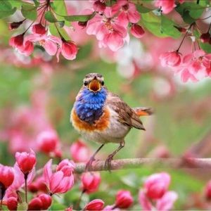 Meet your Posher, Ash